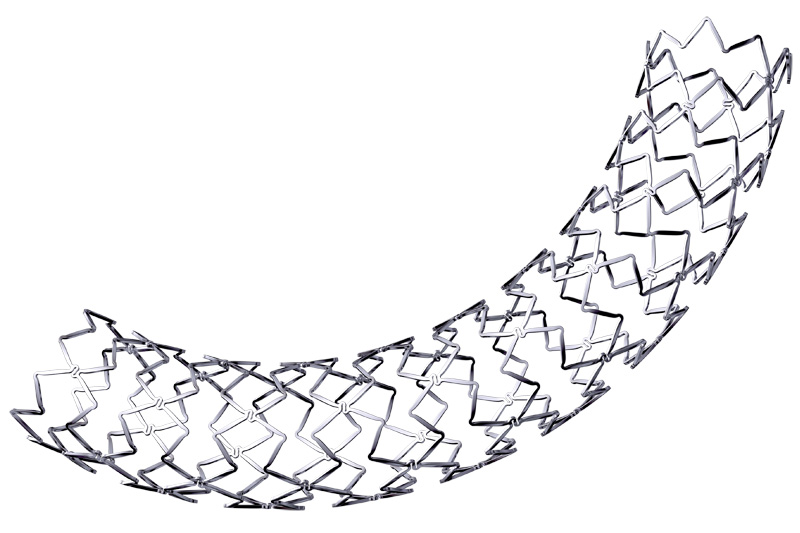 BioMatrix Flex stent